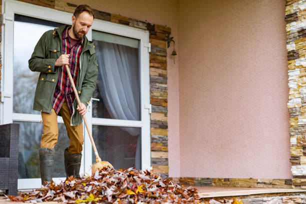 Best Trash Removal Near Me  in Wolfforth, TX
